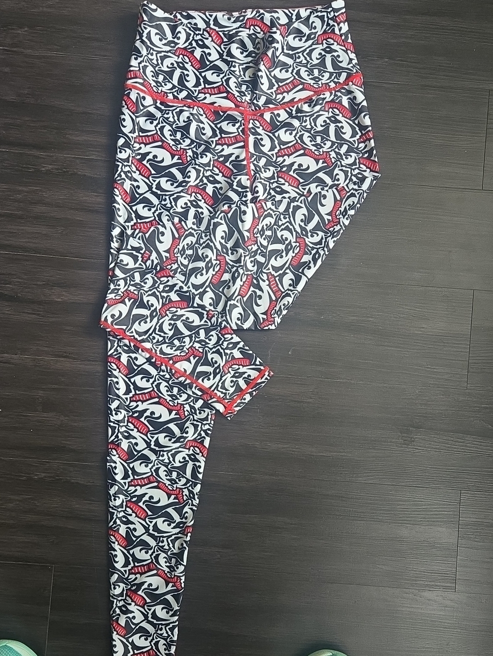 Wisconsin Badger Leggings